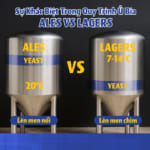 SEOCA¡c loao¡i bia lager 01